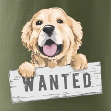 Zlatý retriever - štěně wanted