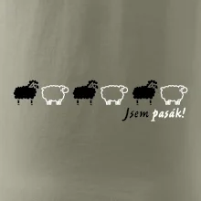 Jsem pasák - ovce v řadě