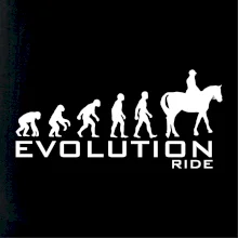 Evoluce Ride horse