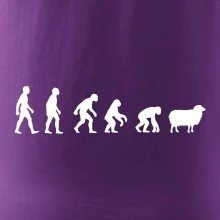 Evoluce ovce