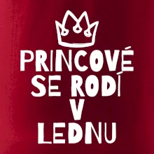 Princové se rodí v lednu