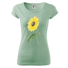 Slunečnice otočená