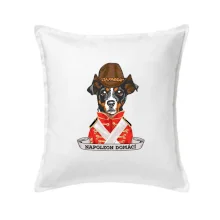 Napoleon domácí pes kříženec