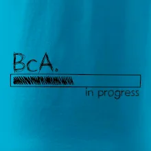 In progress  titul BcA. bakalář / bakalářka umění