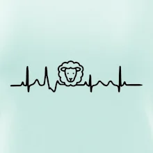 Ekg ovce
