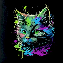 Obrázek kočky v roztřiknuté barvě