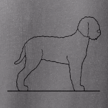 Lagotto romagnolo stojící