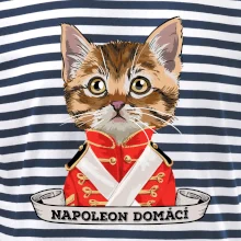 Napoleon domácí kočka