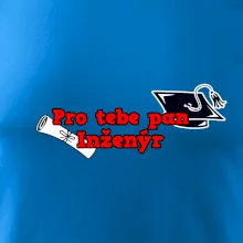 Pro tebe pan Inženýr