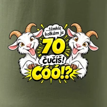 Těmhle holkám je 70, čučíš co?