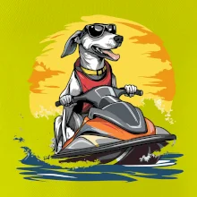 Chrt na vodním skútru