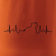 Stafordšírsky bulteriér EKG