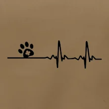 Veterinář EKG
