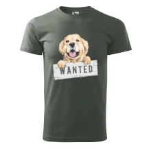 Zlatý retriever - štěně wanted