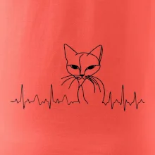 EKG křivka kočka