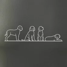 Lagotto romagnolo postavy linka