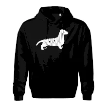 Jezevčík - Dachshund