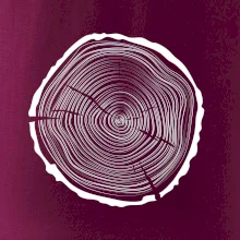 Letokruhy 45 bez věku