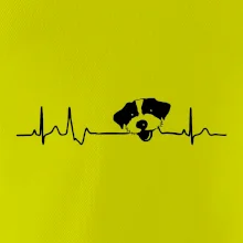 Jack Russell Terriér hrubosrstý Ekg