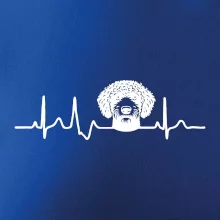 Lagotto romagnolo hlava EKG