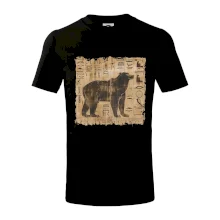 Egyptské hieroglyfy medvěd