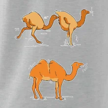 Pravda o velbloudech