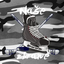 Hokej - naše zbraně