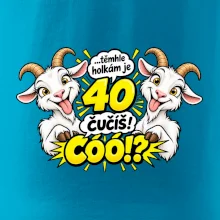 Těmhle holkám je 40, čučíš co?