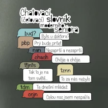 Chatovací slovník moderního seniora (Běžící češtinář)