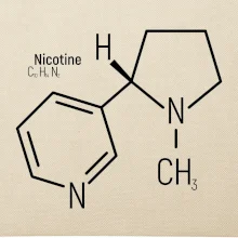 Molekulární struktura Nikotin