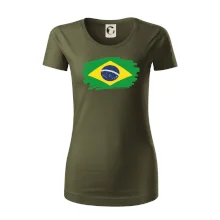 Brazílie vlajka štětkou