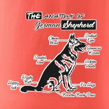 Německý ovčák - Anatomie