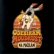 Odebírám moudrost na počkání