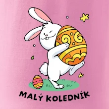 Malý koledník