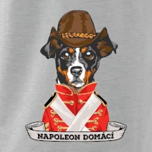 Napoleon domácí pes kříženec