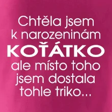 Chtěla jsem dostat k narozeninám koťátko