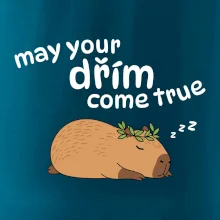 May your dřím come true