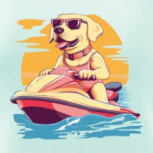 Zlatý retrívr na vodním skútru