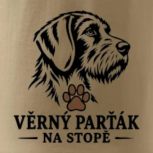 Věrný parťák na stopě lovecký pes
