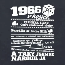 1966 v kostce