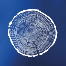 Letokruhy 85 bez věku