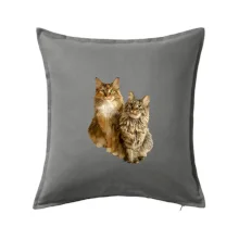 Kočky vectorizované  (Moňas)