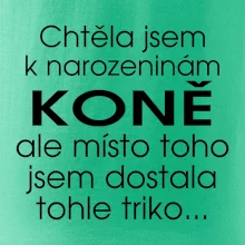 Chtěla jsem dostat k narozeninám koně