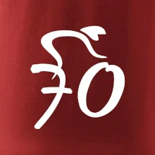 Cyklista slaví sedmdesátku (70)