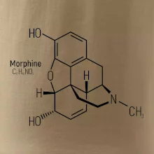 Molekulární struktura Morfin