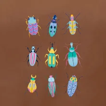 Barevní brouci (studio-arte.cz)