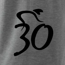 Cyklista slaví třicítku (30)