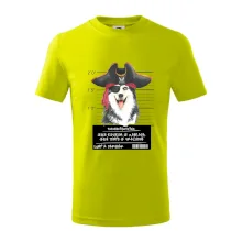 Lump a darebák husky