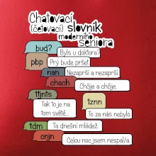 Chatovací slovník moderního seniora (Běžící češtinář)