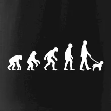 Lagotto romagnolo Evoluce